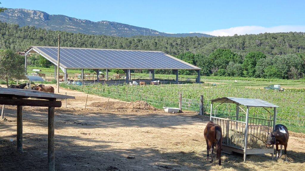 [PLAN CLIMAT] Entreprises du monde agricole, vous voulez en savoir plus sur le photovoltaïque en toiture ?